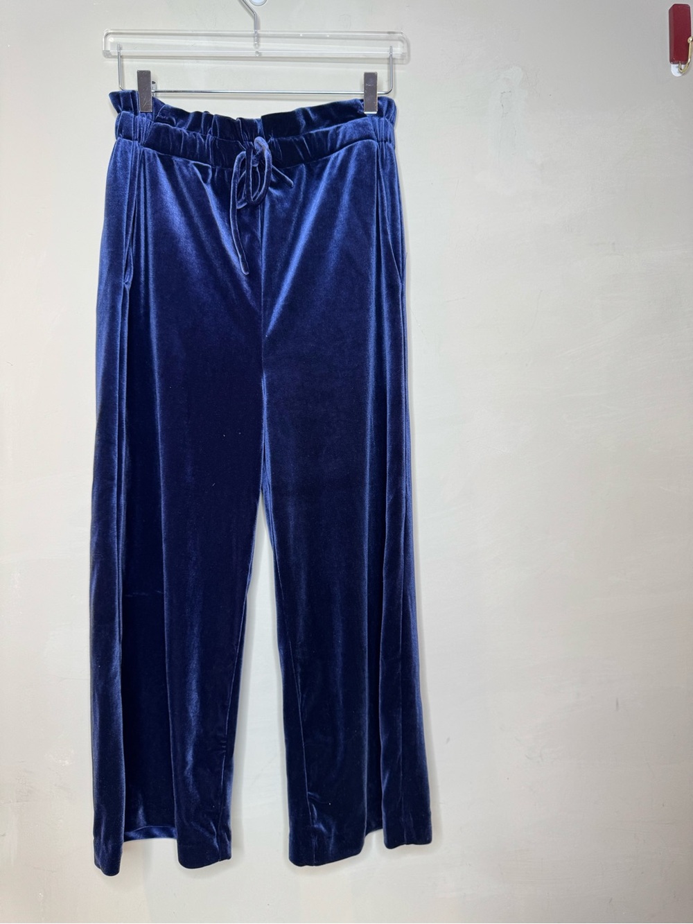 Cynthia Rowley Blue Velvet Pull-On Pants Size Medium